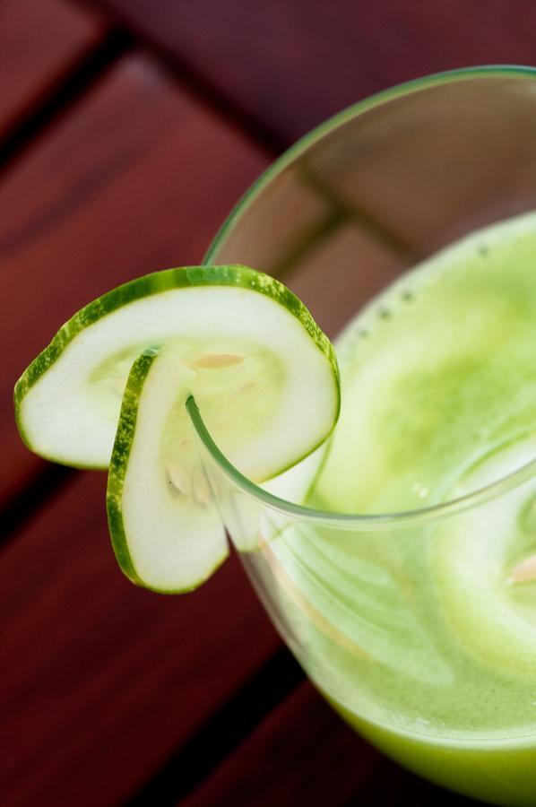 ホテル シナラニ ヨガ リトリート メキシコ Quimixto エクステリア 写真